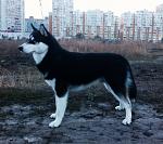     
: TFqfbZloFVg.jpg
: 33
:	75.8 
ID:	8808547