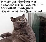     
: image (1).jpg
: 17
:	57.8 
ID:	8817612