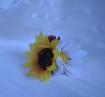     
: DSC_0958.jpg
: 65
:	41.6 
ID:	8821260