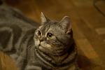     
: z_dd4651fc.jpg
: 47
:	212.6 
ID:	8822342