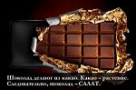     
: 1412326557_kartinka-2.jpg
: 15
:	43.5 
ID:	8823076