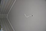     
: DSC_9729.jpg
: 21
:	55.6 
ID:	8824060