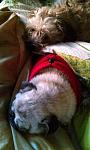     
: IMAG0244.jpg
: 25
:	90.8 
ID:	8825456