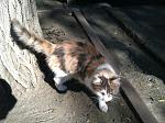     
: IMG_3217.jpg
: 12
:	201.5 
ID:	8828458