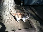     
: IMG_3216.jpg
: 13
:	202.3 
ID:	8828459