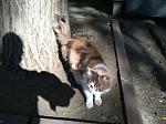     
: IMG_3219.jpg
: 8
:	184.9 
ID:	8828460