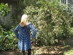    
: IMG_7121.jpg
: 9
:	307.8 
ID:	8830627