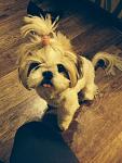     
: u0-neu-d1-6cbdd780826c4f0e9b2370237139f8d4^pimgpsh_fullsize_distr.jpg
: 16
:	146.7 
ID:	8830659