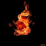    
: 1255004825_5.jpg
: 4
:	55.3 
ID:	8833713