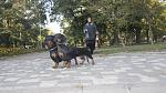     
: _DSC5709.jpg
: 12
:	140.6 
ID:	8840075