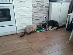     
: 20141006_160752.jpg
: 16
:	100.8 
ID:	8846415