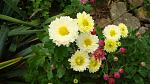     
: DSC05922.JPG
: 3
:	197.0 
ID:	8847859