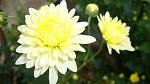     
: DSC05925.JPG
: 3
:	165.6 
ID:	8847860
