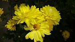     
: DSC05926.JPG
: 5
:	178.2 
ID:	8847861