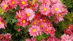     
: DSC05927.JPG
: 3
:	232.3 
ID:	8847862