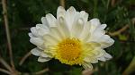     
: DSC05932.JPG
: 3
:	160.8 
ID:	8847863