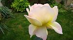     
: DSC05920.JPG
: 3
:	170.0 
ID:	8847910