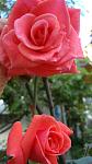     
: DSC05855.JPG
: 3
:	172.9 
ID:	8847912