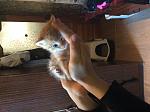     
: image.jpg
: 7
:	133.2 
ID:	8848389