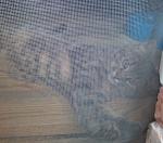     
: IMG_20141012_174009.jpg
: 4
:	186.1 
ID:	8848646