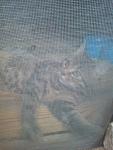     
: IMG_20141012_174013.jpg
: 3
:	100.9 
ID:	8848647