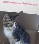     
: 20141012_173306.jpg
: 29
:	72.1 
ID:	8848733