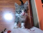     
: IMG_20141012_185200.jpg
: 19
:	131.6 
ID:	8848767