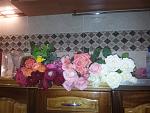     
: 20141012_212957.jpg
: 3
:	144.6 
ID:	8849322