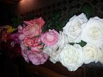     
: 20141012_213241.jpg
: 2
:	84.3 
ID:	8849340