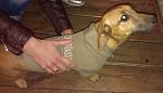     
: o3TlbXMNuxI.jpg
: 34
:	45.2 
ID:	8849403