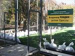     
: IMG_1035.jpg
: 65
:	185.6 
ID:	8852504