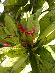     
: 13102014018.jpg
: 16
:	122.2 
ID:	8853859