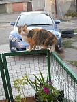     
: DSCN5264.jpg
: 13
:	135.7 
ID:	8853864