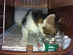     
: IMG_1568.jpg
: 9
:	102.7 
ID:	8858575