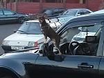     
: IMG_20141012_172345.jpg
: 134
:	133.5 
ID:	8859448