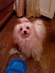     
: IMG_20141014_202154.jpg
: 46
:	91.9 
ID:	8860171