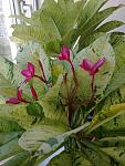     
: 15102014024.jpg
: 11
:	127.4 
ID:	8864651