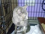     
: erF7q2BBeOQ.jpg
: 85
:	214.5 
ID:	8867132