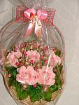     
: DSC07340.jpg
: 40
:	110.4 
ID:	8872041