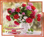     
: 480oMcFxVMs.jpg
: 202
:	101.7 
ID:	8872528