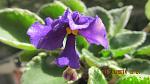     
: IMG_0739.jpg
: 24
:	87.5 
ID:	8873874