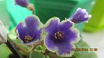     
: IMG_0691.jpg
: 22
:	72.7 
ID:	8873885