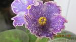     
: IMG_0685.jpg
: 22
:	75.4 
ID:	8873889