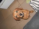     
: DSCN5270.jpg
: 36
:	128.6 
ID:	8877851