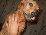     
: DSCN5269.jpg
: 30
:	126.9 
ID:	8877854