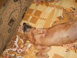     
: DSCN5268.jpg
: 31
:	201.1 
ID:	8877859