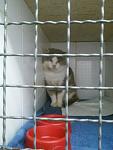     
: 20141017_134854.jpg
: 19
:	77.4 
ID:	8879742