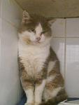     
: 20141017_134950.jpg
: 20
:	53.7 
ID:	8879747