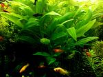     
: IMG_27-06-2014_171655.jpg
: 8
:	153.7 
ID:	8880925