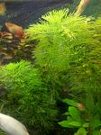     
: IMG_04-04-2014_131032.jpg
: 7
:	106.3 
ID:	8880928